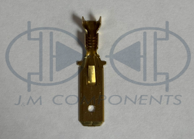 TERMINAL DE LATON FASTON MACHO